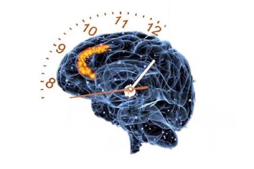 مغز ما زمان را بیشتر شبیه شمارنده می بیند تا ساعت